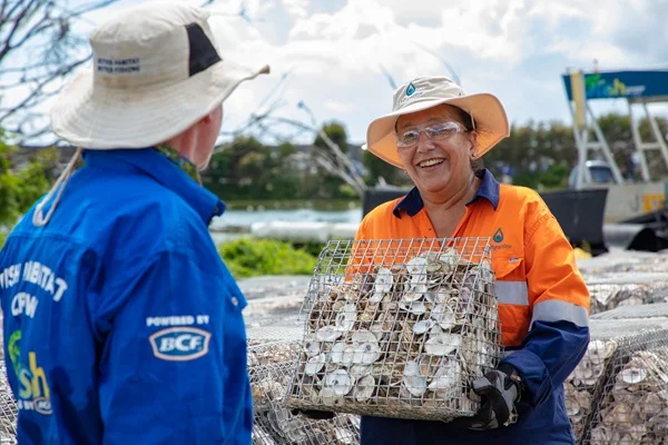 Bridgeman Downs shellfish reef

