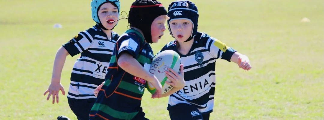 Albany Creek Brumbies

