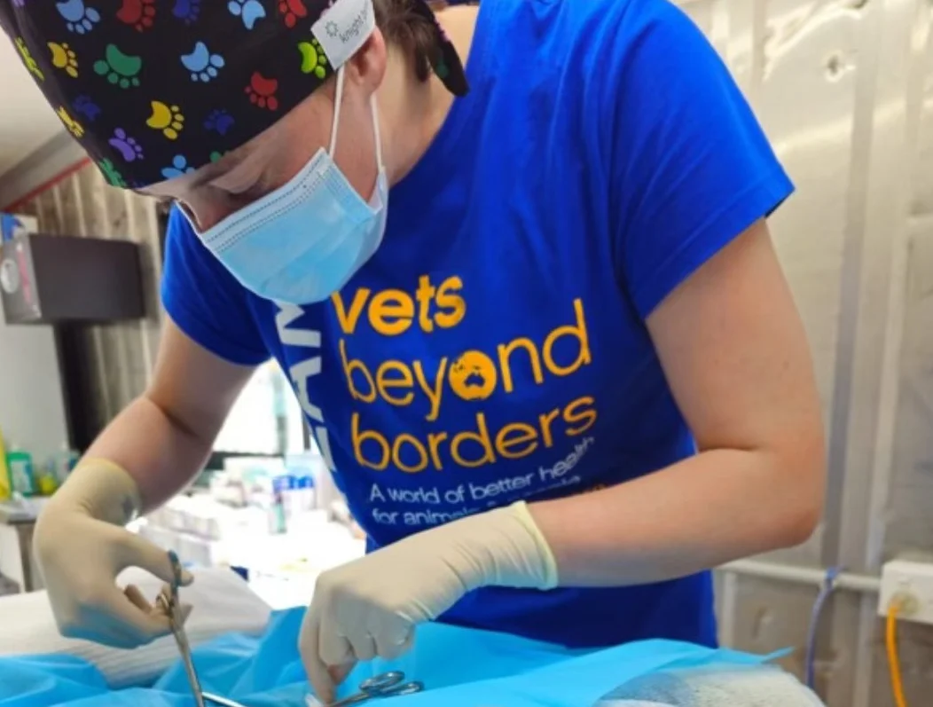 Papua New Guinea mission