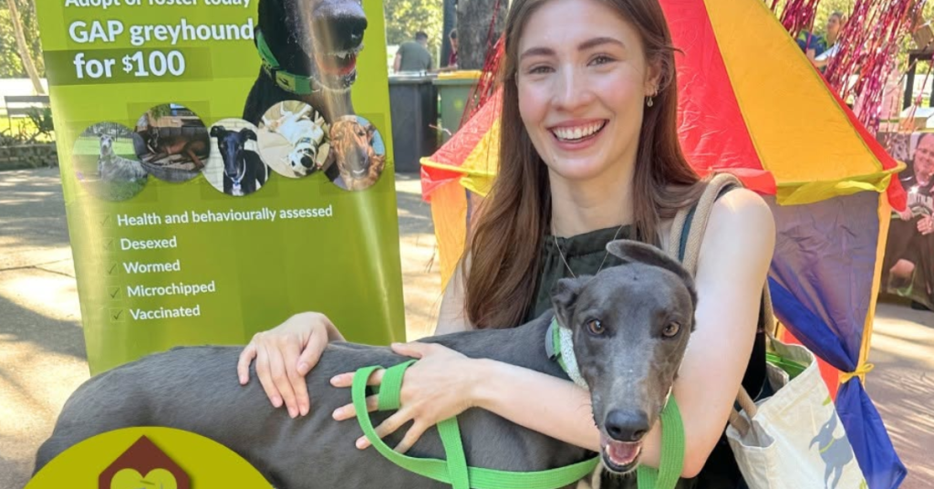Greyhounds