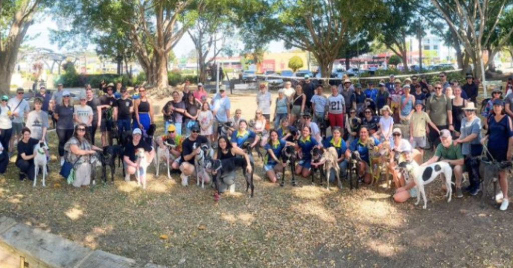 Greyhounds